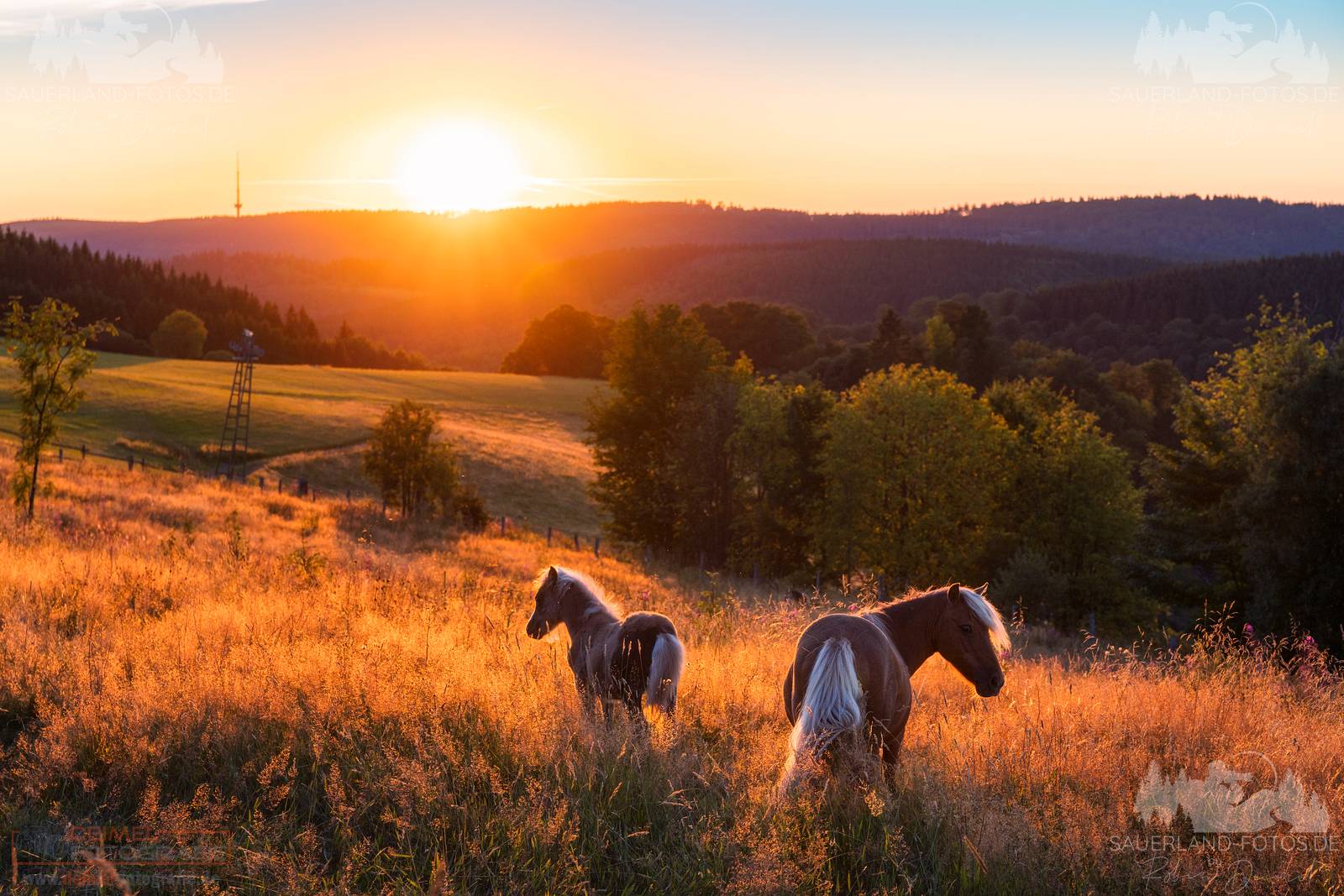 Sonnenuntergang - Sommer 1 | Deimel Fotografie